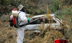 Lundi 21 novembre 2005 -

Une importante opération de démoustication s'est déroulée ce lundi 21 novembre 2005 dans deux ravines des hauts de Saint-Paul