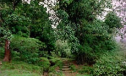 Paysage du cirque de Mafate