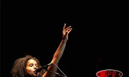 Dimanche 6 août 2006 - 

Environ 3 000 personnes ont assisté au concert de Susheela Raman. La chanteuse indo-britannique a clôturé le Sakifo 2006