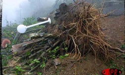 Images de désolation lors du passage du cyclone Dina sur La Réunion le 22 janvier 2002