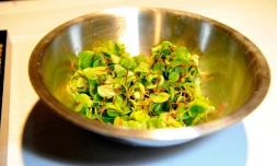 En cette période de fêtes, les repas peuvent virer au casse-tête face aux régimes et modes alimentaires qui font de plus en plus d'adeptes