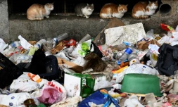 Des déchets amoncelés devant une barre de la cité des Kalliste, dans le nord de Marseille