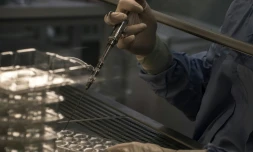 Produits chimiques, manipulation de médicaments anticancéreux, poussières de bois, émissions de moteurs diesel, travail de nuit: environ 2,6 millions de salariés ont été exposés à au moins une "nuisance cancérogène", selon une étude