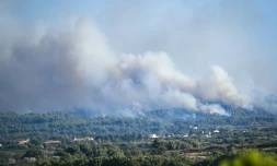 Incendie à Sigean, dans l'Aude, le 26 juillet 2025