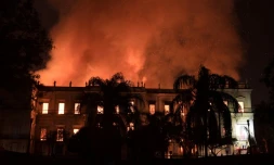 Un incendie ravage le Musée National de Rio de Janeiro, joyau culturel du pays