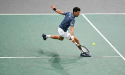 Le Serbe Novak Djokovic face au Portugais Joao Sousa lors du 2e tour du Masters 1000 de Paris, le 30 octobre 2018