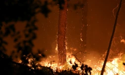 Incendie dans les landes, Luglon, 14 août 2026