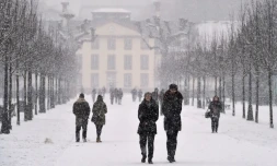 Chute de neige le 8 janvier 2017 à Strasbourg