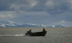 Des chasseurs esquimaux yupiks du village de Quinhagak, rentrent d'une expédition en mer, le 12 avril 2019 en Alaska