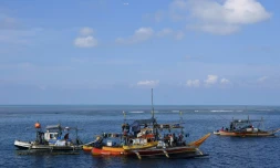 Des bateaux de pêcheurs philippins ancrés près du récif de Scarborough, le 21 septembre 2023 dans les eaux disputées en mer de Chine