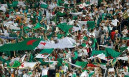 Des supporters de l'Algérie encouragent leur équipe lors de la demi-finale de Coupe d'Afrique des Nations contre le Nigeria (victoire 2-1), le 14 juillet au stade international du Caire