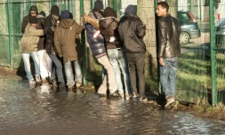 Des migrants le 14 janvier 2016 Ă Calais