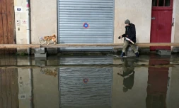 Un homme promÚne son chien dans une rue inondée d'Angers, le 20 février 2026