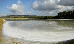 Plage redessinée par la nature aux "Vieux-Salins" d'Hyères, le 31 août 2021
