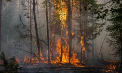 Un incendie de forêt près du village de Byas-Kyuel, dans le nord-est de la Sibérie, en Russie, le 26 juillet 2021