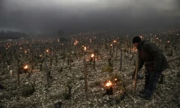 Un viticulteur allume des réchauds, à l'aube, le 21 avril 2017 à Chablis, près d'Auxerre, région touchée par le gel