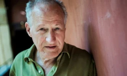 Le réalisateur américain Michael Mann, au Festival Lumière de Lyon, le 15 octobre 2017