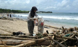 Une femme collecte des déchets plastiques sur une plage, le 9 décembre 2018 à Bali