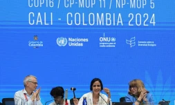 Le secrétaire exécutif de la COP16, David Cooper (g), la présidente colombienne de la COP16, Susana Muhamad (c), et la secrétaire de la COP16 Astrid Schomaker, lors de la dernière session plénière de la COP16 à Cali, le 2 novembre 2024 en Colombie