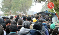 Migrants et réfugiés passent la frontière entre la Serbie et la Croatie le 26 octobre 2015 à Berkasovo