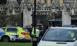 Des policiers et des ambulanciers devant l'entrée du Parlement britannique, le 22 mars 2017