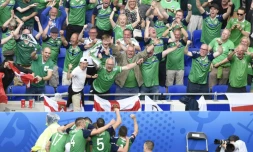 Les joueurs de l'Irlande du Nord célèbrent un but de leur équipe contre l'Ukraine, au premier tour de l'Euro, à Décines-Charpieu, près de Lyon, le 16 juin 2016