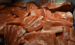 Le saumon frais issu de filières conventionnelles, qu'il vienne de Norvège ou d'Irlande, est moins contaminé qu'avant