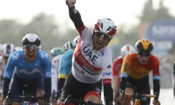 L'Italien Diego Ulissi vainqueur de la 13e étape du Tour d'Italie, entre Cervia et Monselice, le 16 octobre 2020