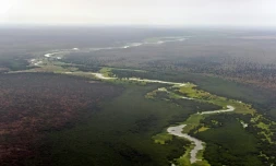 Vue aérienne sur le parc national de Boma au Soudan du Sud, le 4 février 2020