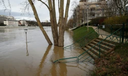 L'Ile de la Grande Jatte, sur la Seine, entre Neuilly-sur-Seine et Levallois-Perret, le 24 janvier 2018