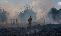 Incendie de forêt dans l'Etat brésilien du Mato Grosso, le 26 août 2019