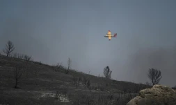 Un Canadair survole une zone dévastée par le feu près de Graveson, au sud d'Avignon, dans le massif de la Montagnette, le 15 juillet 2022 
