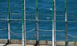 Des migrants nagent vers l'enclave espagnole de Ceuta depuis le Maroc voisin, le 17 mai 2021