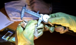 Un chiroptérologue mesure une chauve-souris à Noyal-Muzillac, le 9 juillet 2021 dans l'ouest de la France