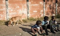 Des enfants assis par terre mangent du porridge distribué par une ONG, le 23 mai 2020 à Johannesburg, en Afrique du Sud