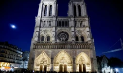 Vue générale de la cathédrale Notre-Dame de Paris, le 13 décembre 2024