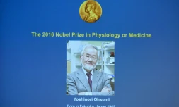 Une photo du Prix Nobel de médecine Yoshinori Ohsumi sur un écran à Stockholm, le 3 octobre 2016