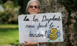 Une opposante à la loi Duplomb, membre de la Confédération paysanne, à Saint-Michel dans le Gers, le 5 juin 2025