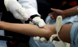 Un enfant potentiellement atteint par le choléra subit une prise de sang à Sanaa, le 15 mai 2017