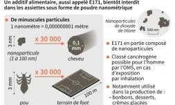 Les nanoparticules de dioxyde de titane