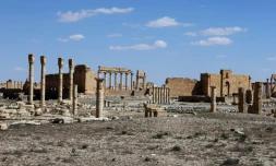 Le temple de Bel dans la cité antique de Palmyre en Syrie le 31 mars 2016