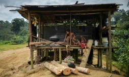 Une famille de l'éthnie Embera dans le village de Tasi, dans le département du Choco en Colombie, le 25 janvier 2017