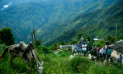 Des habitants de Pueblo Nuevo en Colombie le 10 juillet 2016