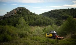 Des Ă©quipes de l'Office nationale des forĂȘts (ONF) dĂ©broussaillent autour de Peyriac-de-Mer (Aude), le 21 novembre 2023