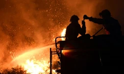Les pompiers luttent contre un incendie près de Gois au Portugal, dans la nuit du 21 au 22 juin 2017