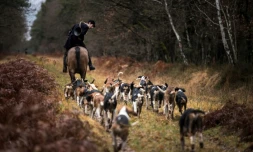 Chasse à courre dans la forêt près de Châtenoy, en France, en France, le 23 décembre 2017