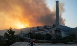 Un feu de forêt fait rage près de la centrale thermique de Kemerkoy, en Turquie, le 4 août 2021