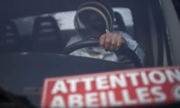 L'apiculteur Patrice Parocell transportent ses ruches Ă l'arriĂšre d'un camion pour la transhumance annuelle vers les champs de lavande, le 25 juin 2020 Ă Banon