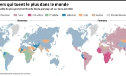 Les cancers qui tuent le plus dans le monde