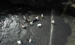 Vue aérienne des opérations de nettoyage à Ancon (nord de Lima) après une marée noire provoquée par le déversement de 6.000 barils de pétrole brut, le 22 janvier 2022
